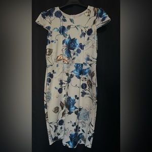 NWT Blue Floral Print Dress